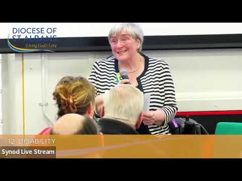 March 2024: Baroness Brinton on disability and inclusion in the Church and society