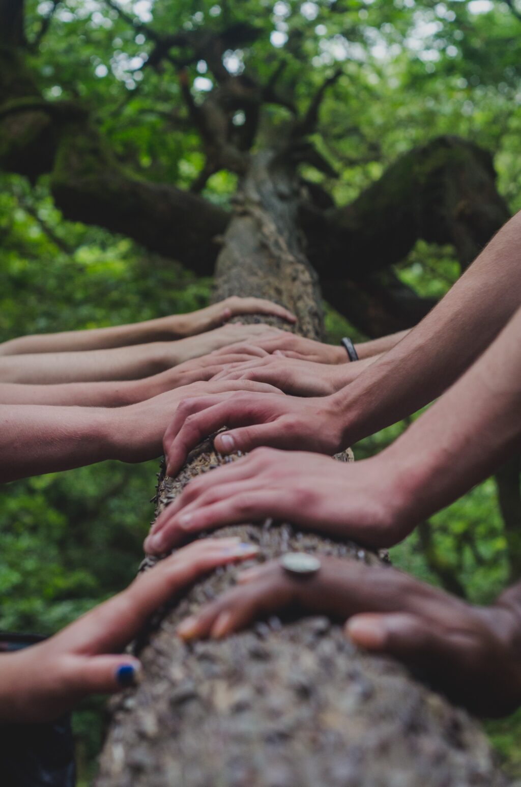 hands – diversity
