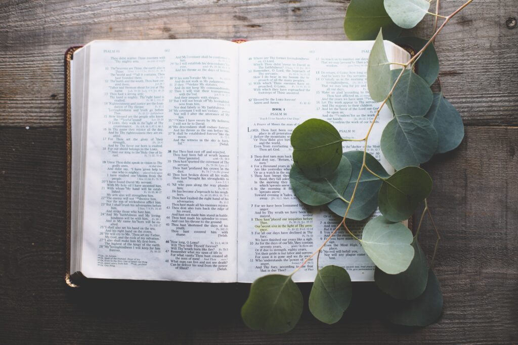An open bible on a table with leaves laid over it.