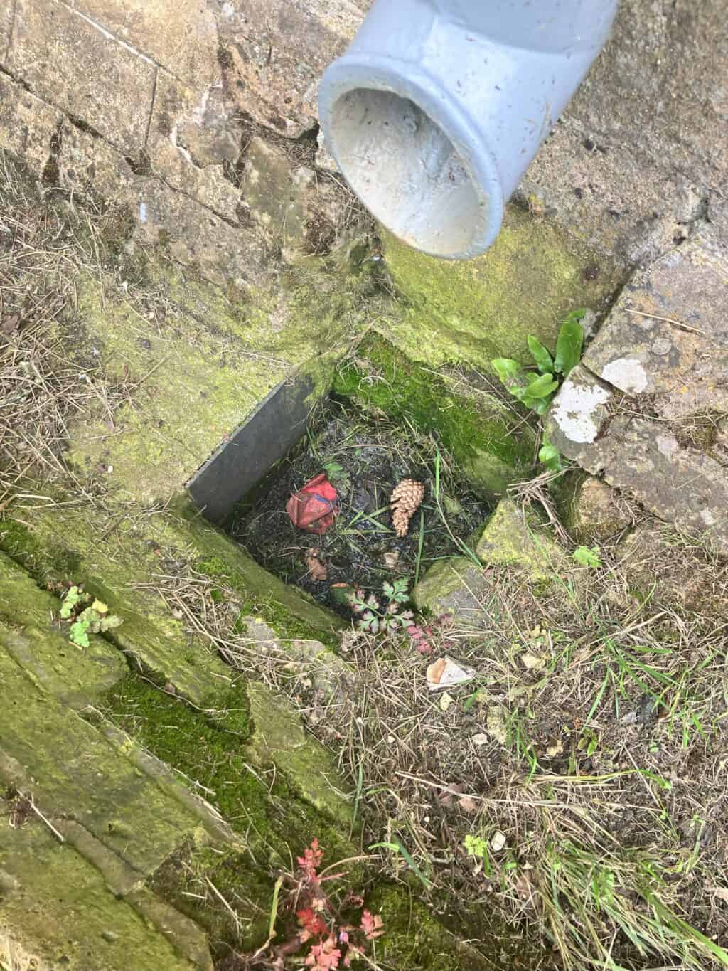 Drain 3