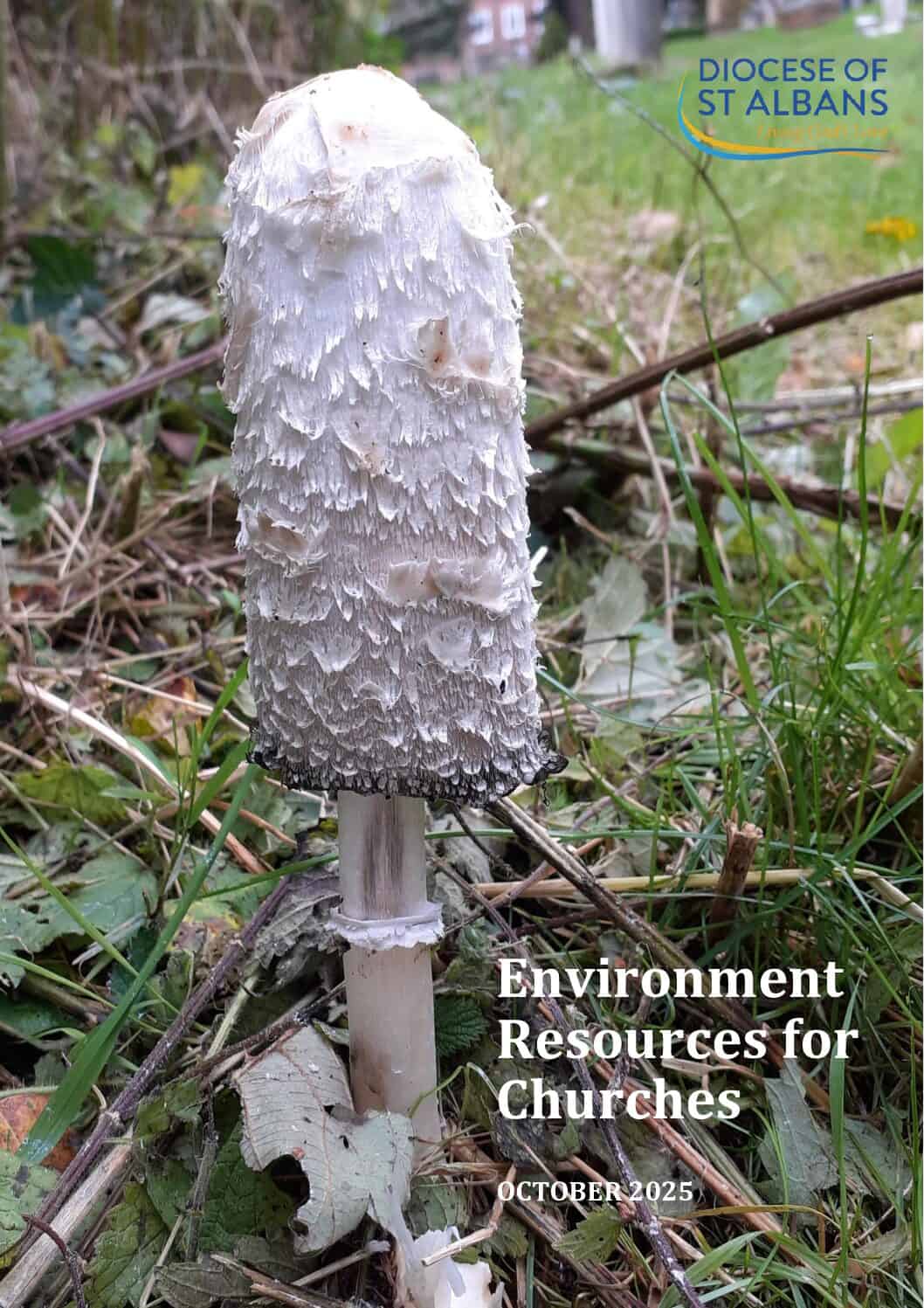 Environment Resources October 2025