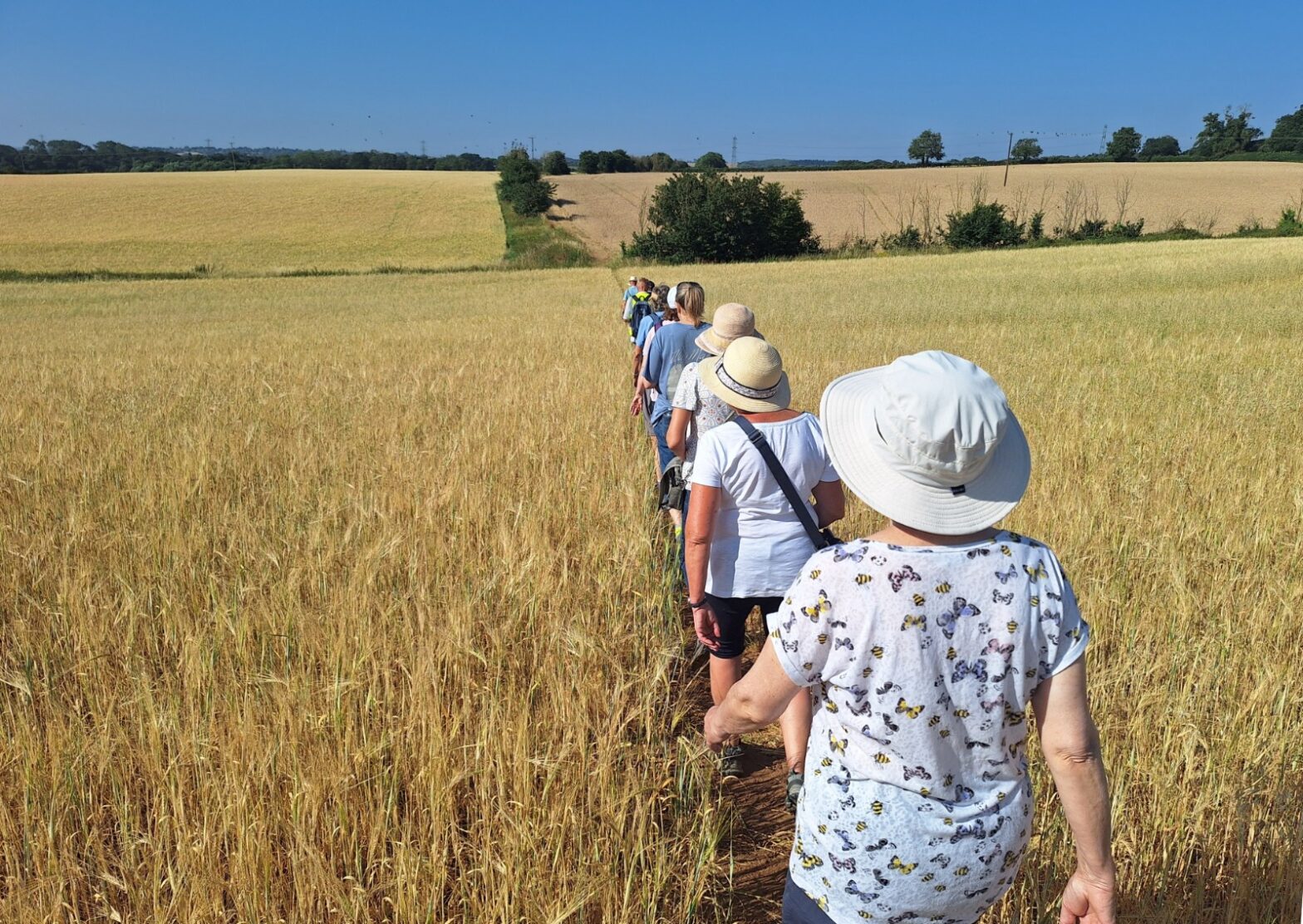 A summer of pilgrimage